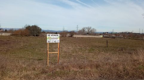 FINCA RUSTICA EN LA PLACA