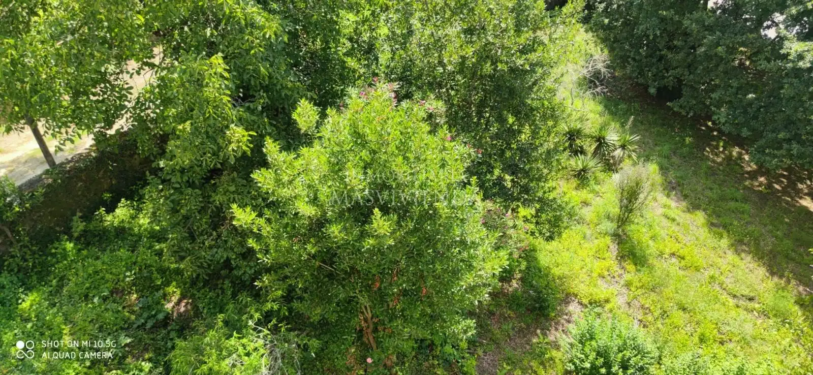 Casa con jardín en venta en Del Val, imagen 47