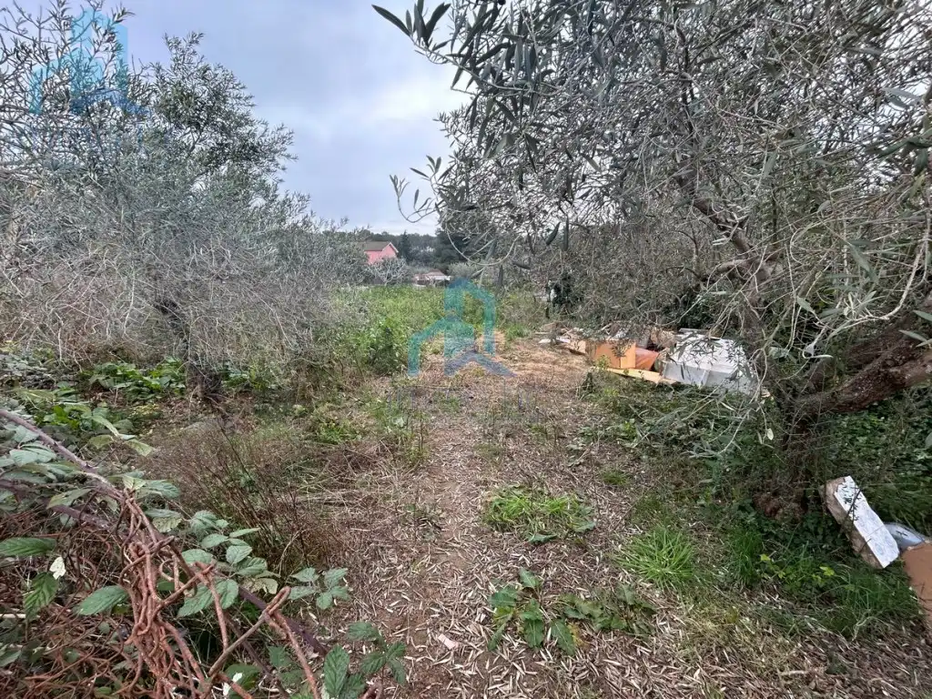 Terreno residencial en venta en Calle Mas De Toni, imagen 4