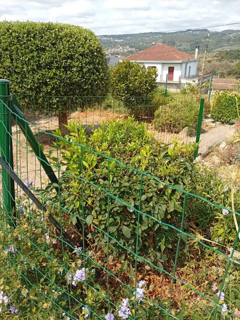 Jardí de Casa o xalet en venda en Ourense Capital  amb Calefacció, Jardí privat i Parquet