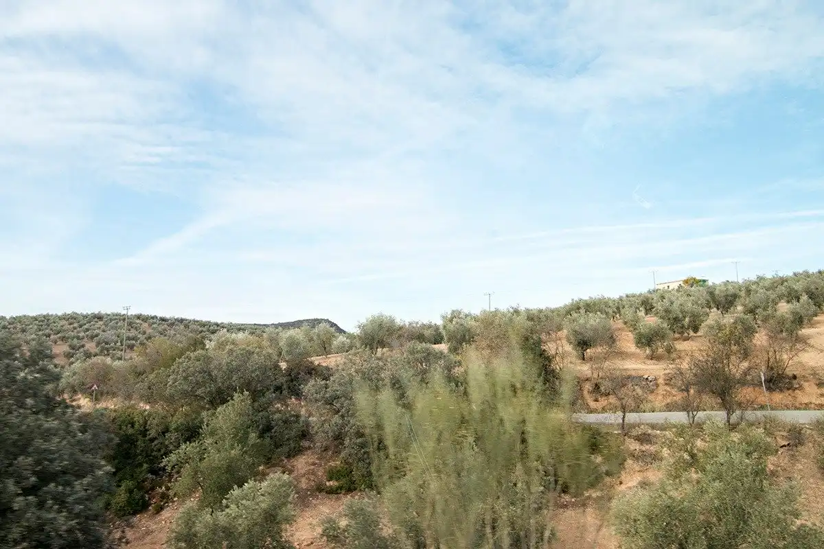 Finca rústica en venda en Loja