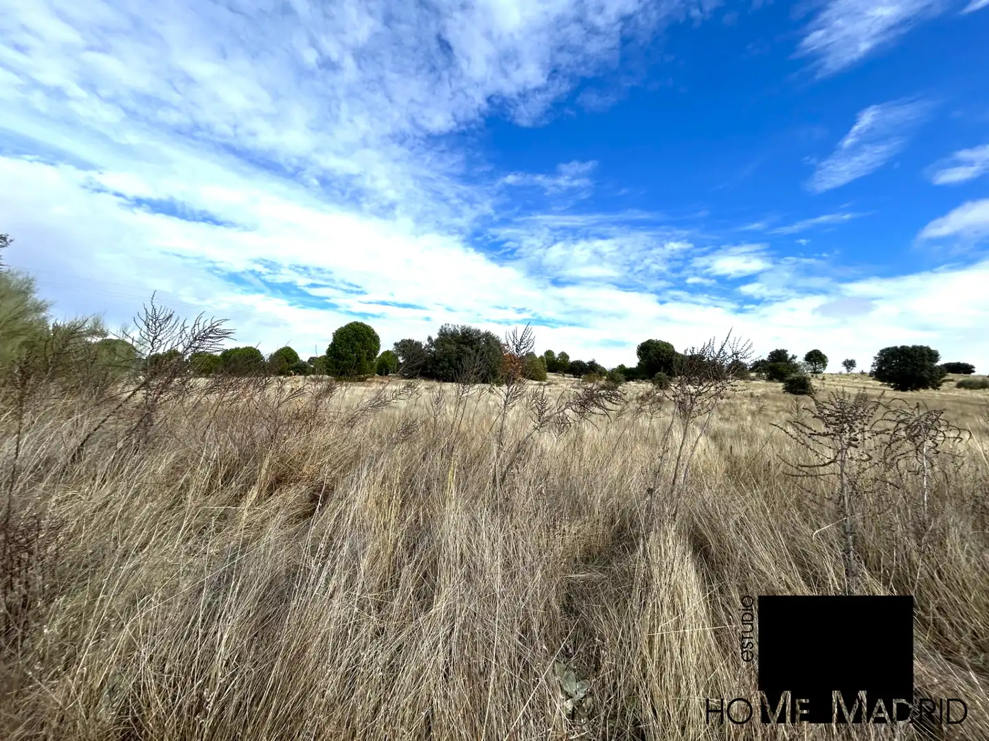 Rural land for sale in Camino de las Fontanillas
