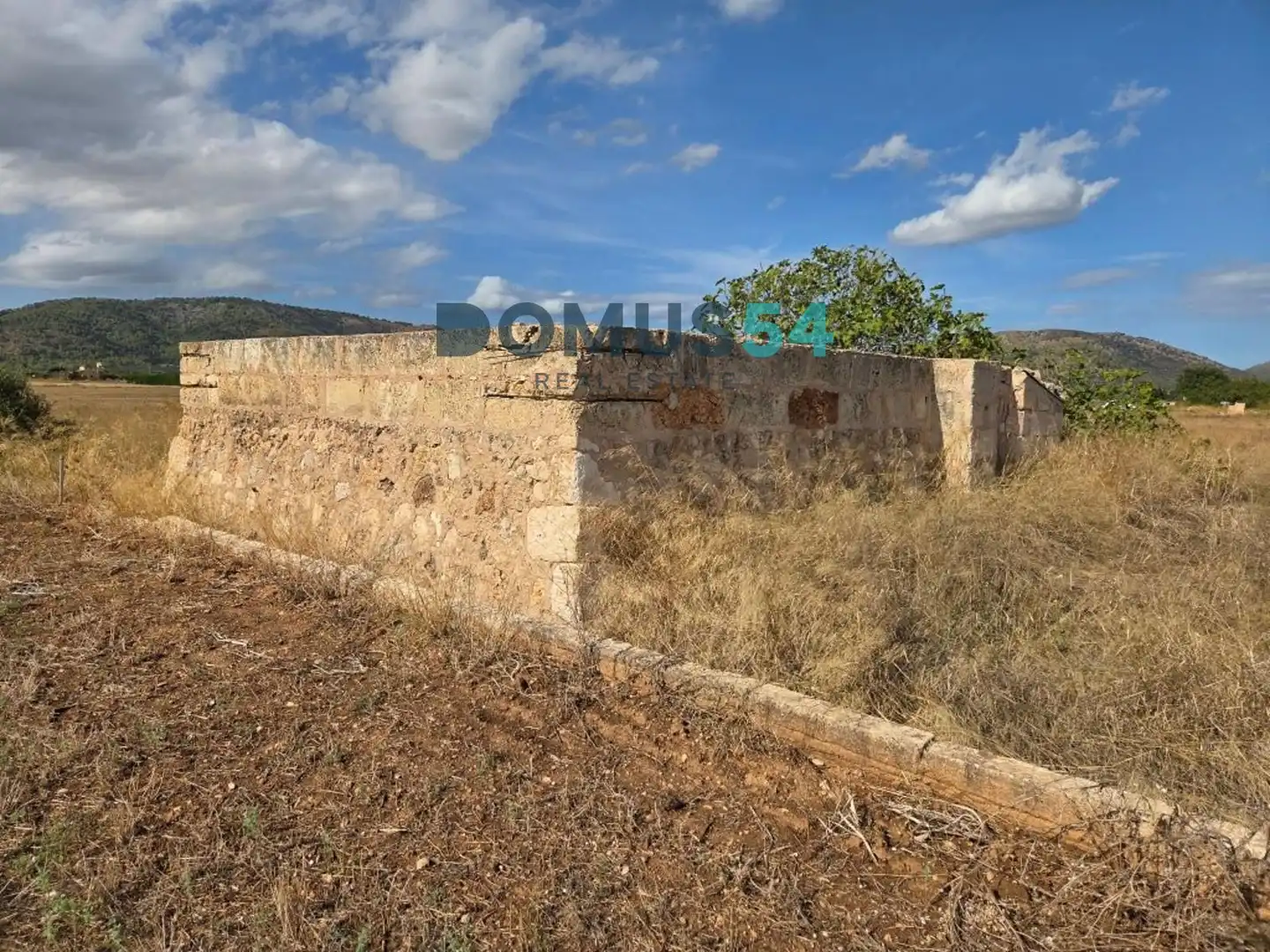 Terreny rústic en venda a Sa Pobla, imagen 8