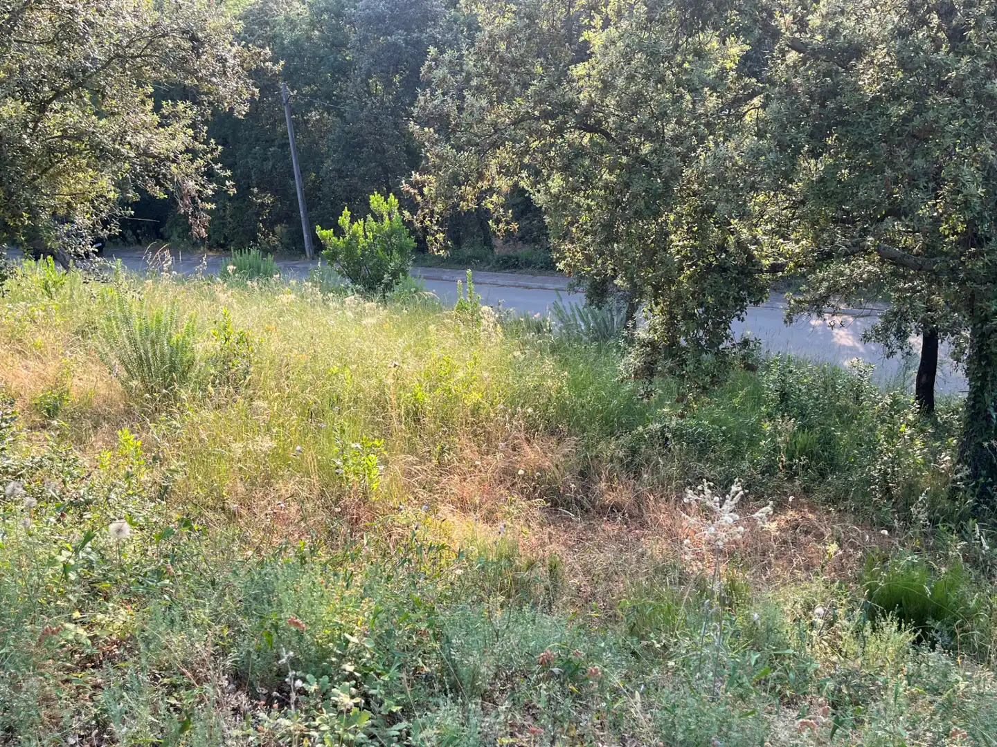 Terrain résidentiel à vendre à Carrer de l'Alt Urgell 1956, imagen 8