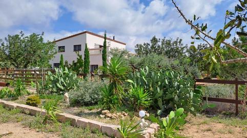 Foto 3 de Finca rústica en venta en Terres Noves, Bonmont Terres Noves, Tarragona