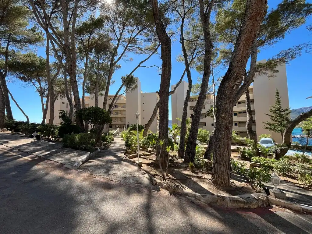 Vista exterior de Apartamento en venta en Calvià con Aire acondicionado, Terraza y Amueblado