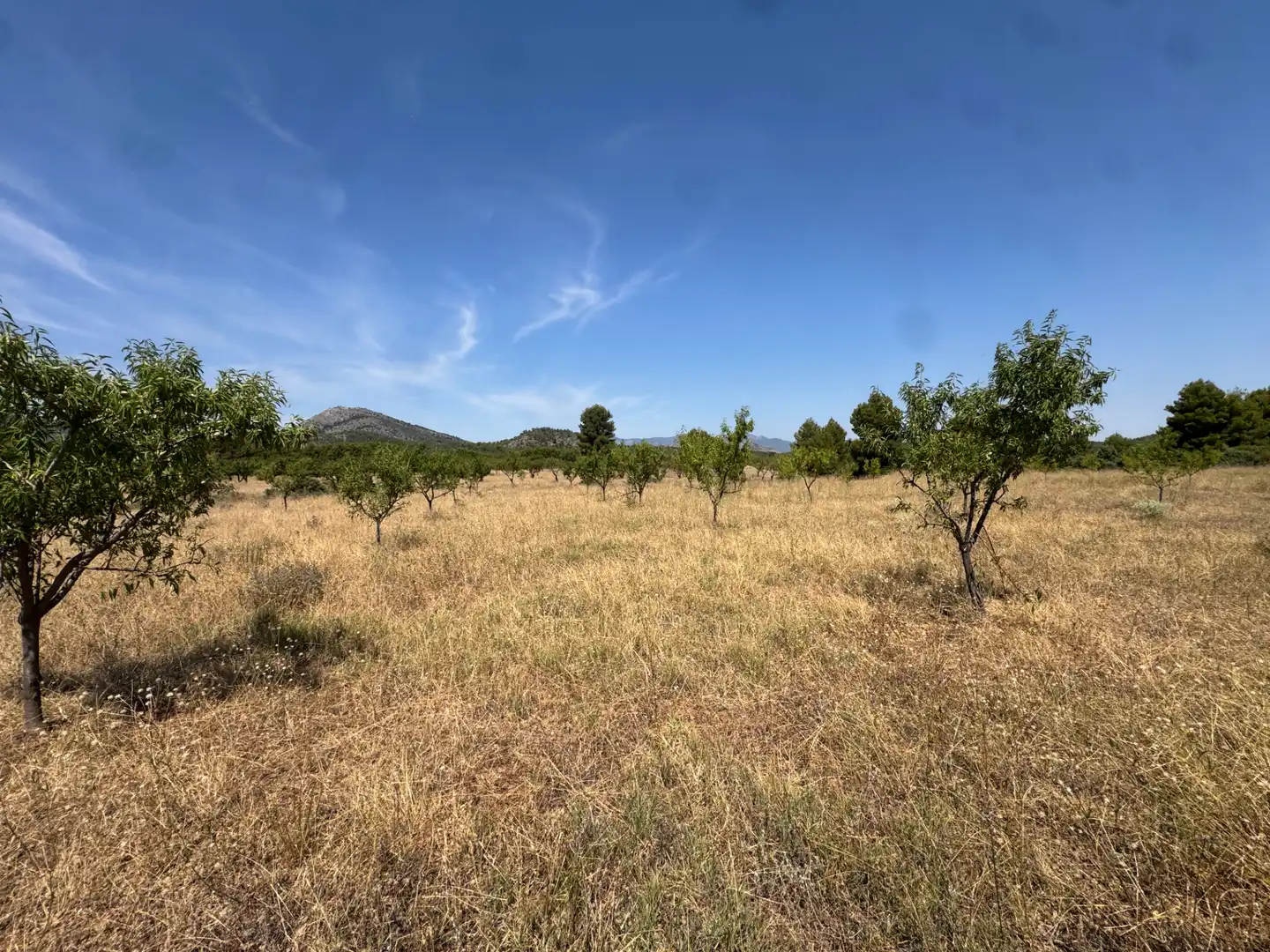 Rural land for sale in N/A, imagen 61