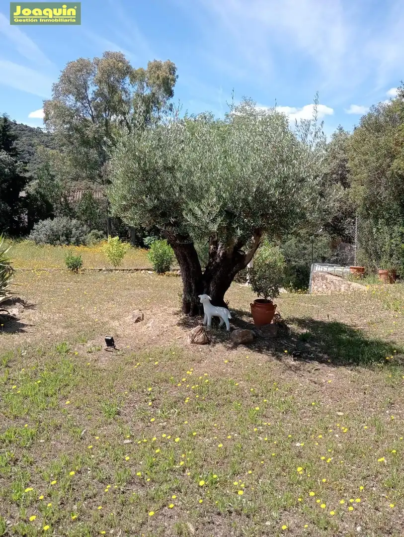 Garten von Country house zum Verkauf in Villaharta mit Gemeinschaftspool