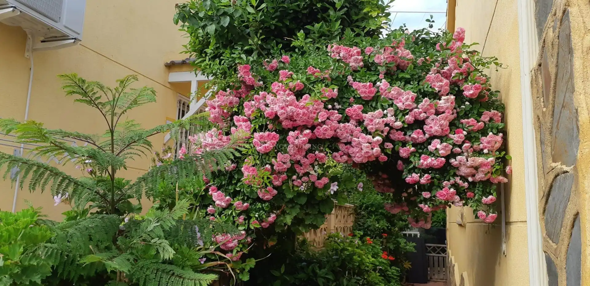 Doppelhaushälfte zum Verkauf in Coloma, imagen 5