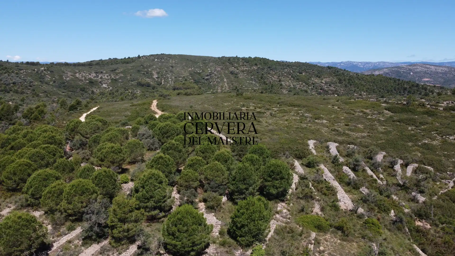 Terreny rústic en venda a Cervera del Maestre, imagen 35