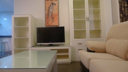Living room of Flat to rent in  Sevilla Capital  with Air Conditioner and Furnished