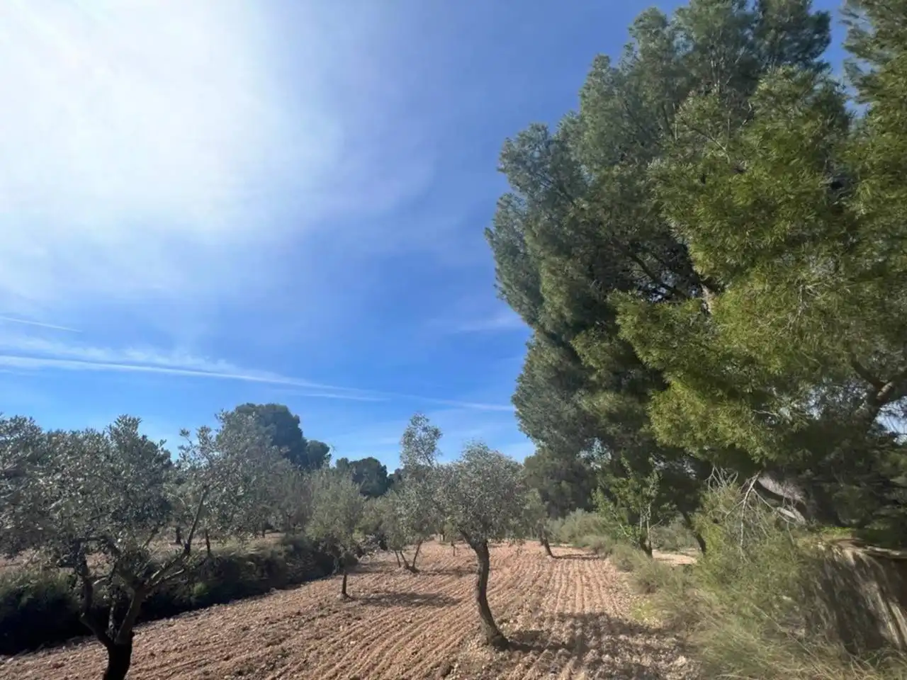 Chalet con jardín en venta en Calle Poligono, imagen 143