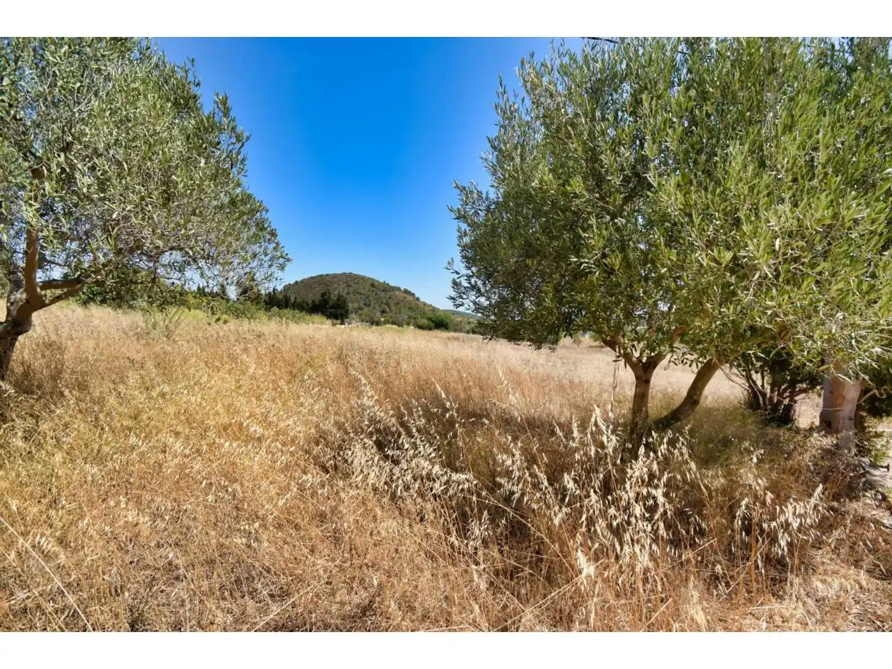 Finca rústica en venda en Son Servera amb Jardí privat i Terrassa