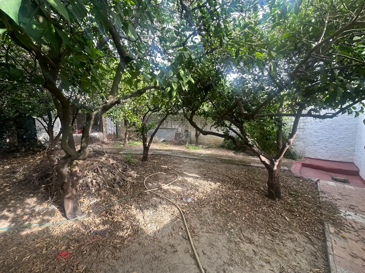 Casa o xalet en venda en Tomares