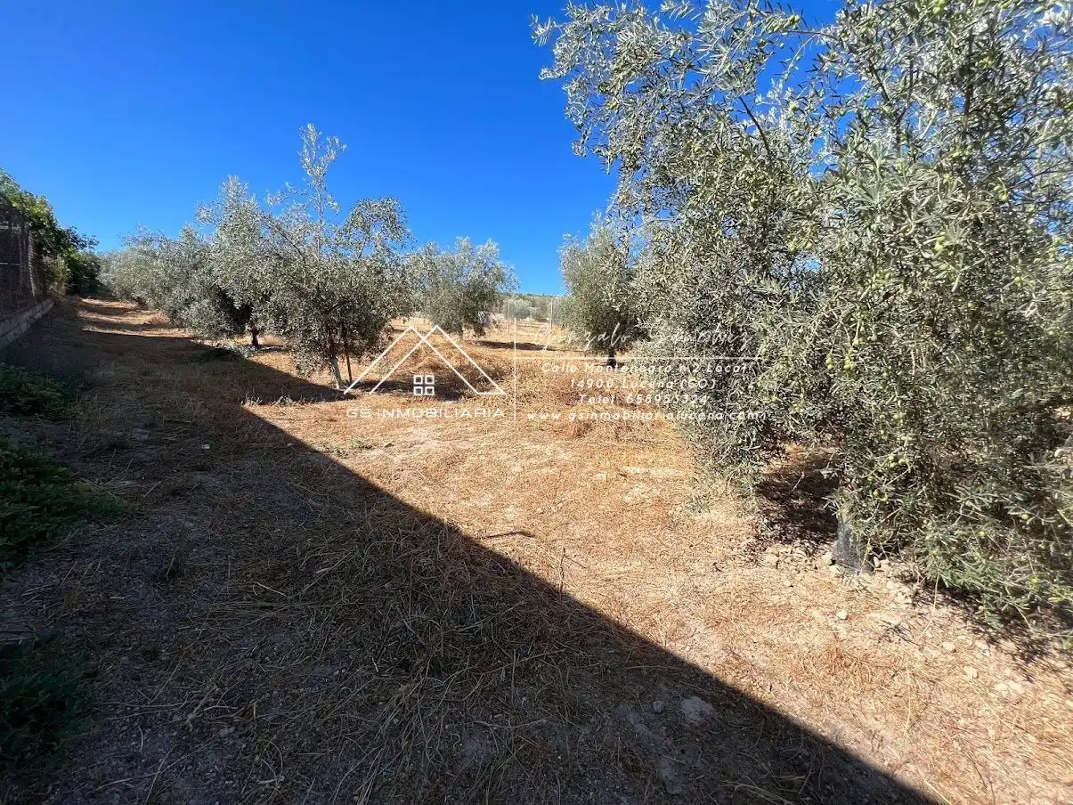 Residencial en venta en Encinas Reales