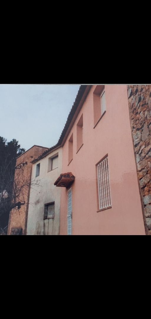 Exterior view of House or chalet for sale in Alfara de Carles