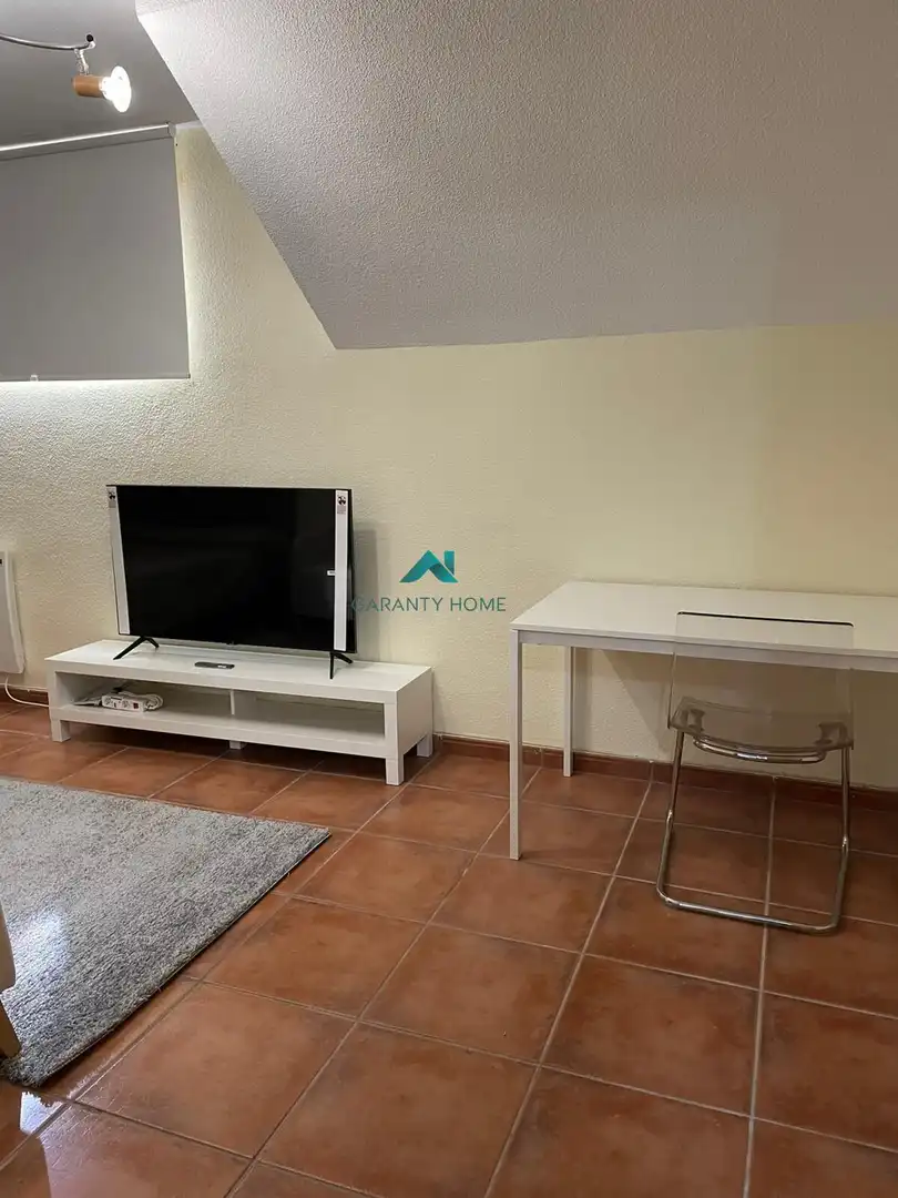 Living room of Study for rent in Villaviciosa de Odón