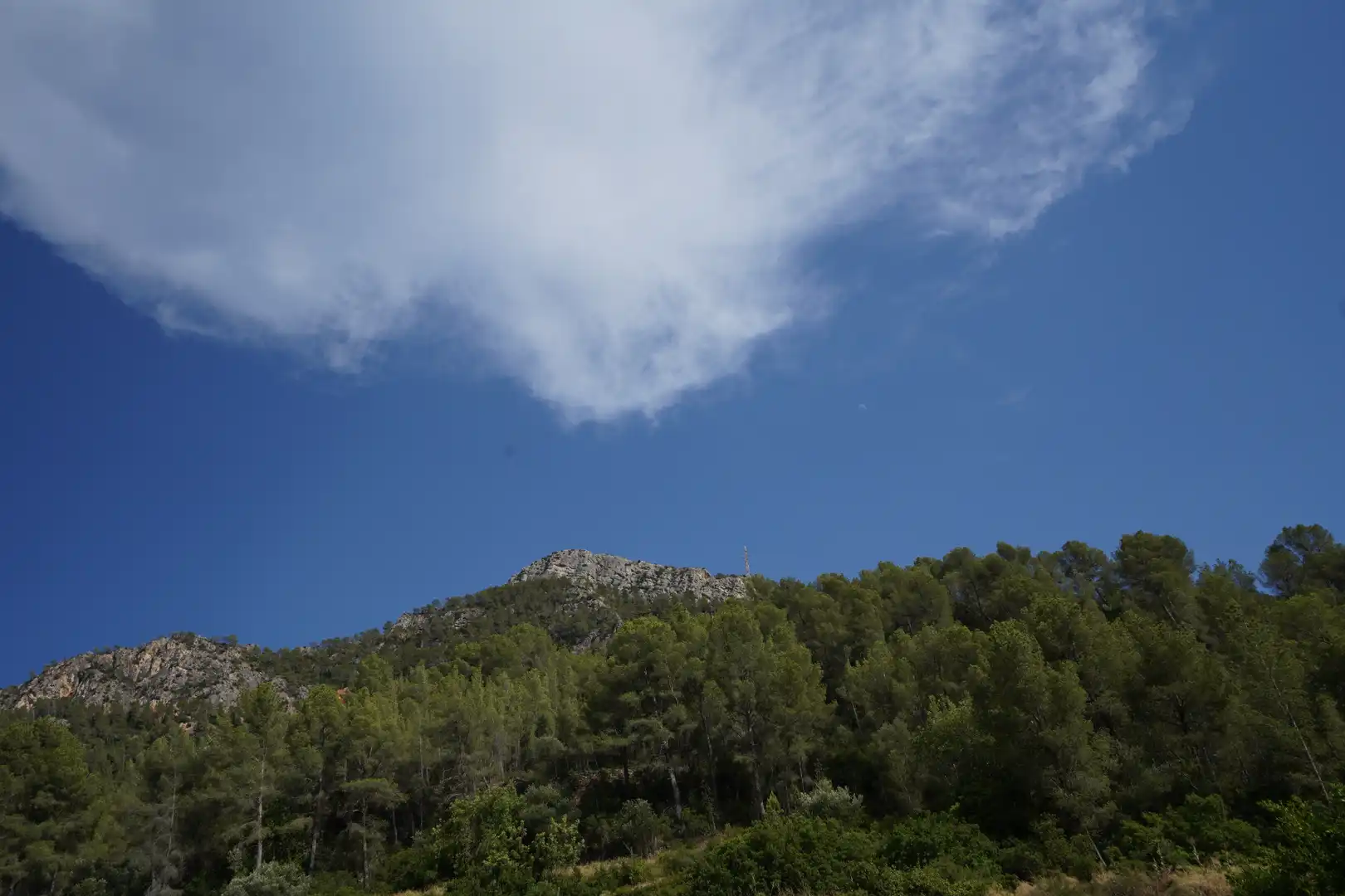 Terrain rustique à vendre à Benifallet, imagen 6