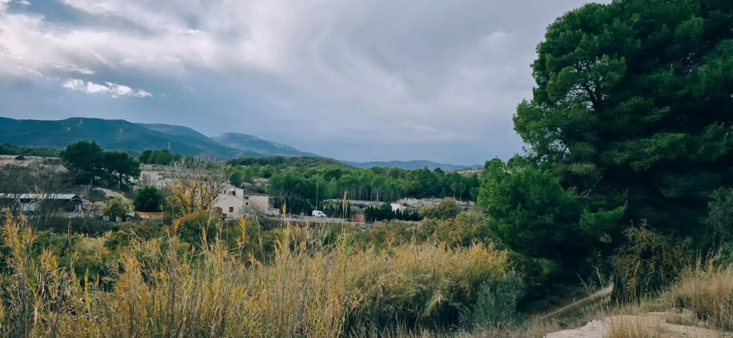 Terrenys i solars en venda a Tibi