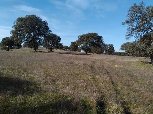 Terreno en Venta en Santa Eufemia