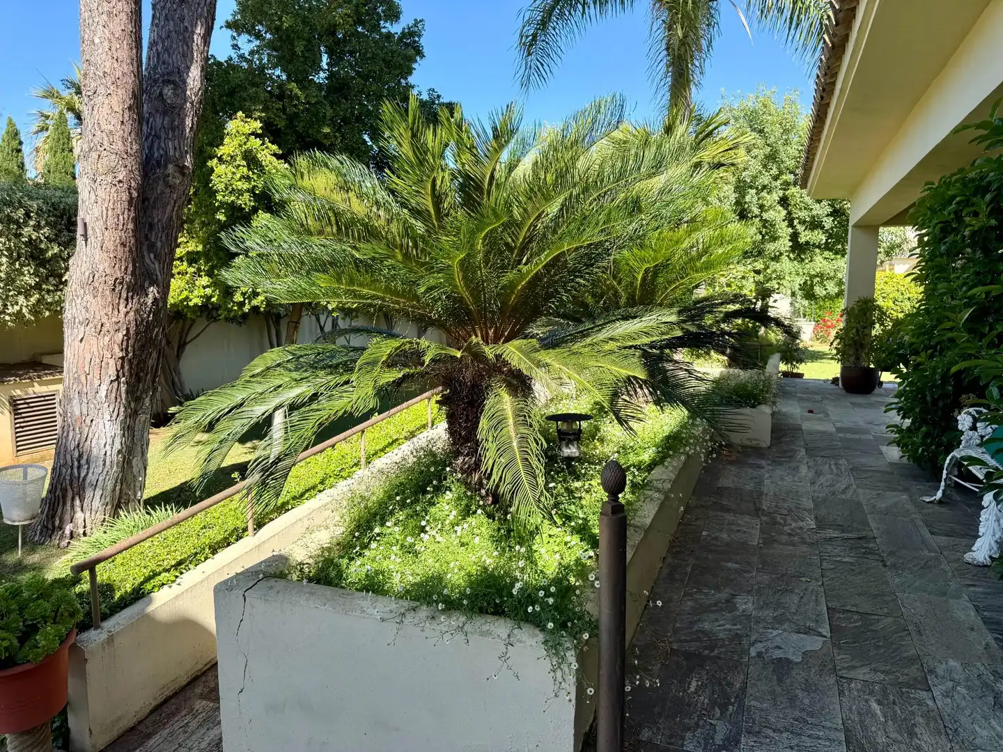 Jardí de Casa o xalet en venda en El Puerto de Santa María amb Aire condicionat, Jardí privat i Terrassa