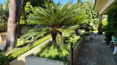 Photo 4 of House or chalet for sale in El Águila, Cádiz