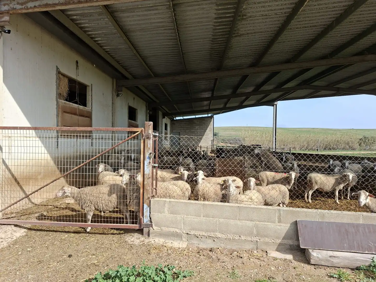 Terreni e lotti in vendita a Huerta Rimer de Alla, imagen 33