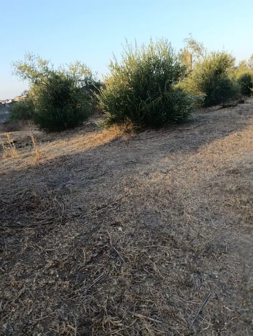 Residential land for sale in Calle San Francisco 43, imagen 5