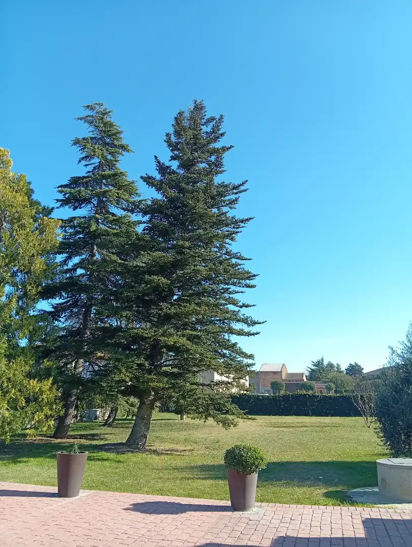 Villa avec terrasse à vendre à Carrer Diagonal 1, imagen 22