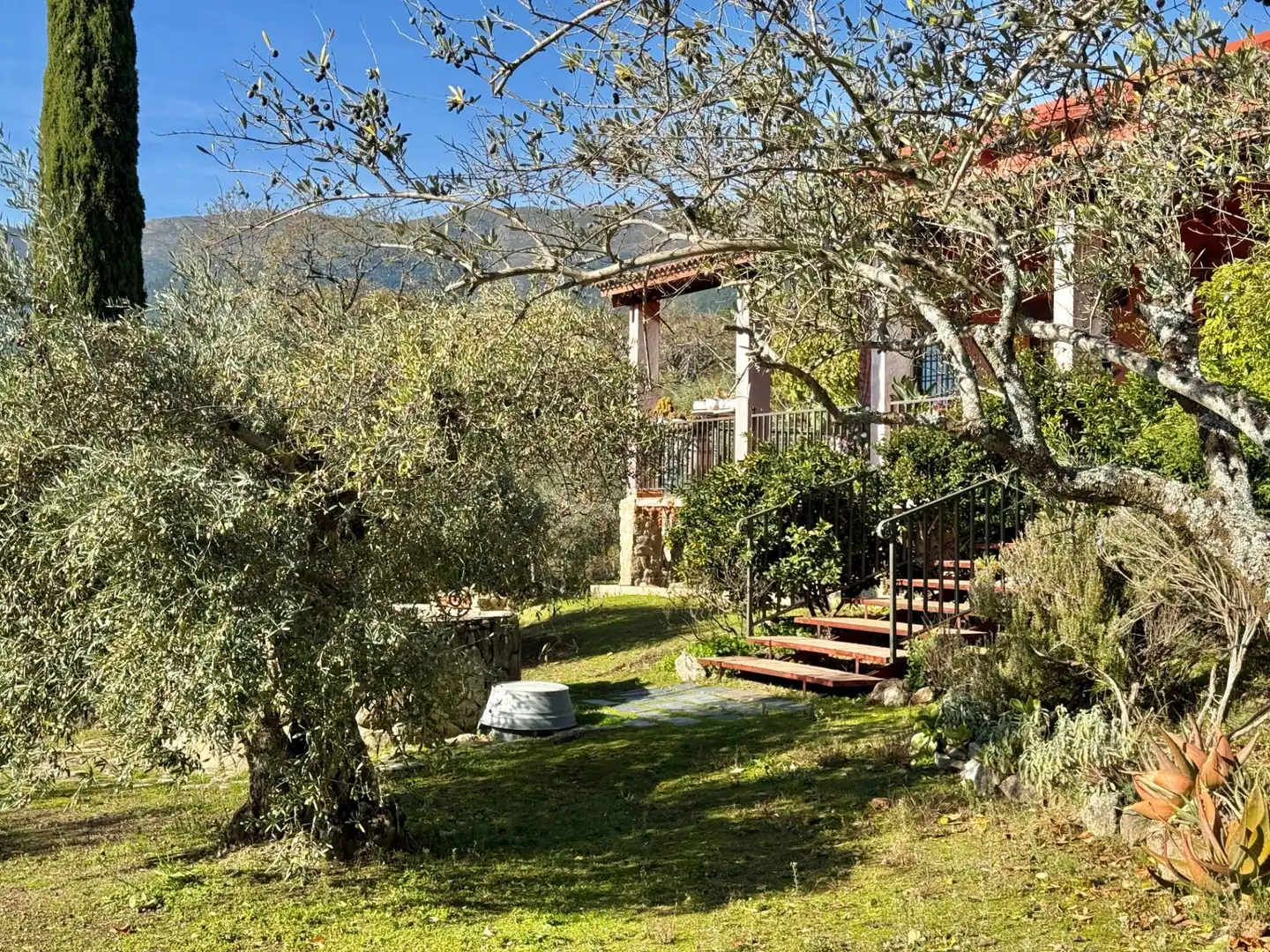 Jardín de Finca rústica en venta en Piedralaves con Jardín privado, Terraza y Trastero