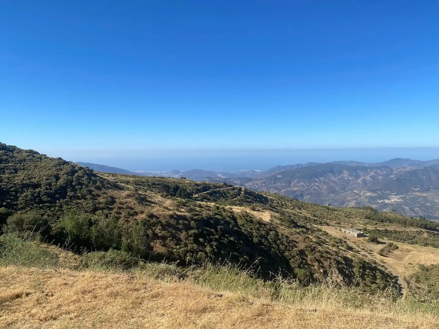 Rural land for sale in Nigüelas, imagen 27