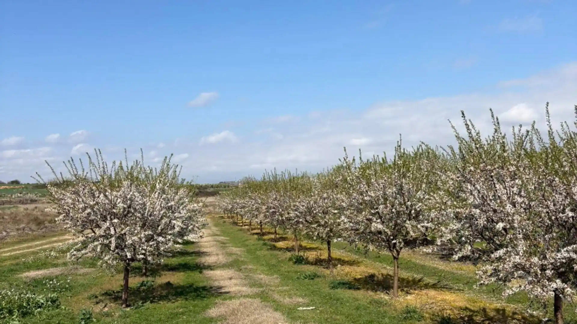 Vista exterior de Terreno en venta en Alberite