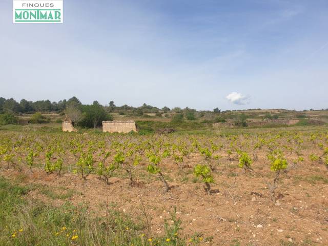 Finca rústica en Venta en Vilabella