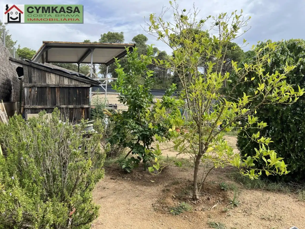 Casa con piscina en venta en Fogars de la Selva, imagen 20