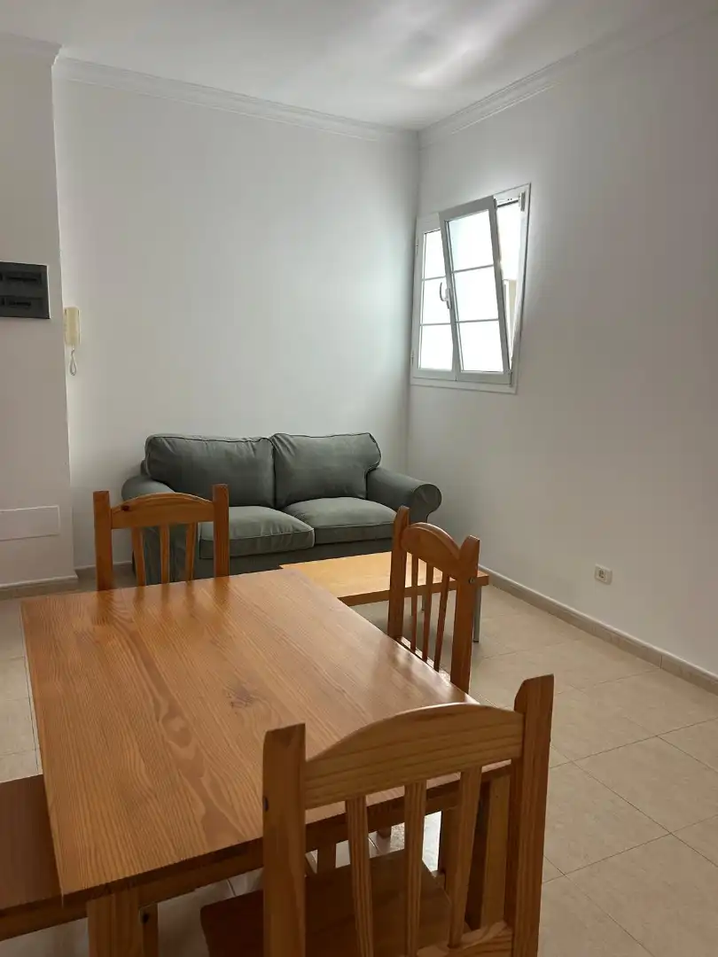 Sala de estar de Piso de alquiler en Las Palmas de Gran Canaria con Amueblado y Balcón