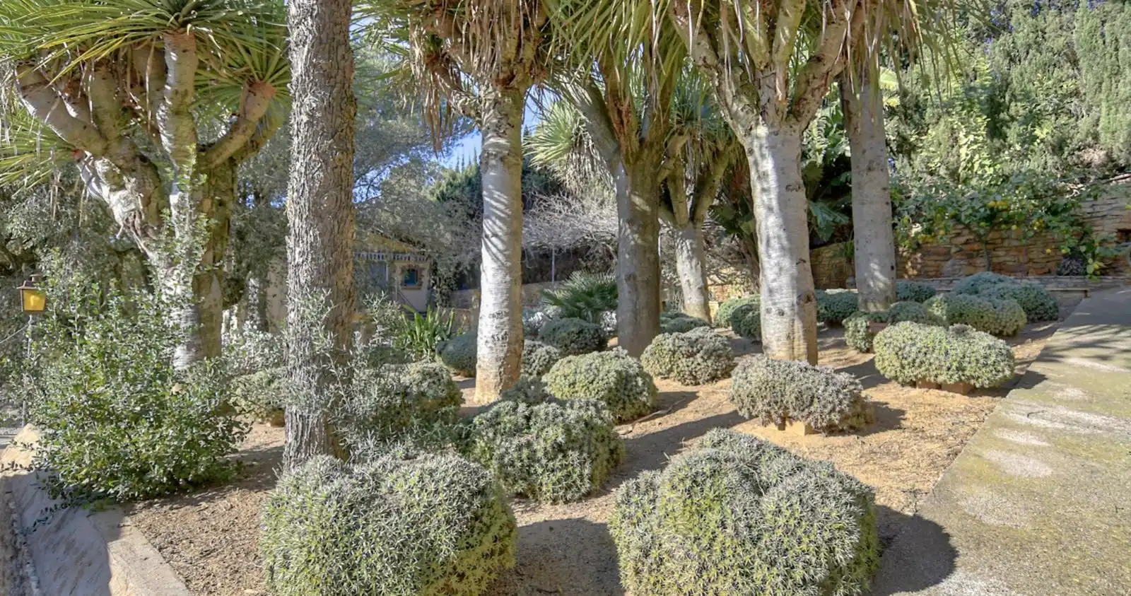 Maison à vendre à Residencial Begur - Esclanyà, imagen 20