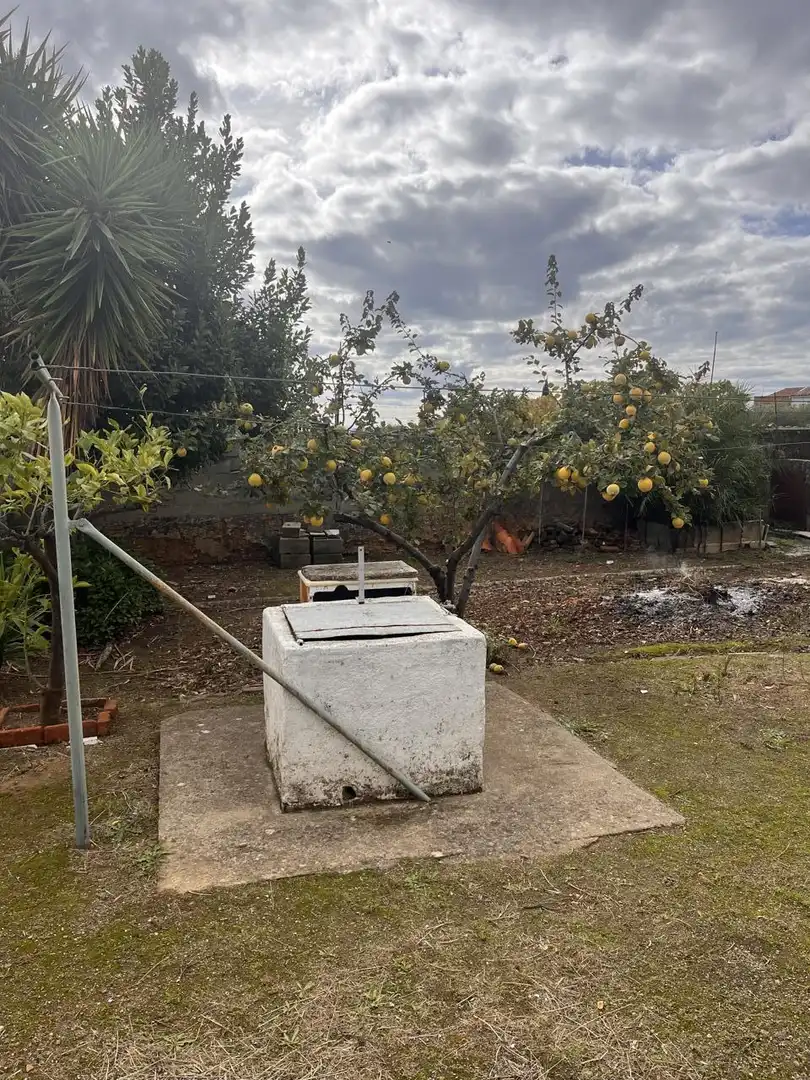 Garden of Houses for sale in Cañaveral  with Private garden