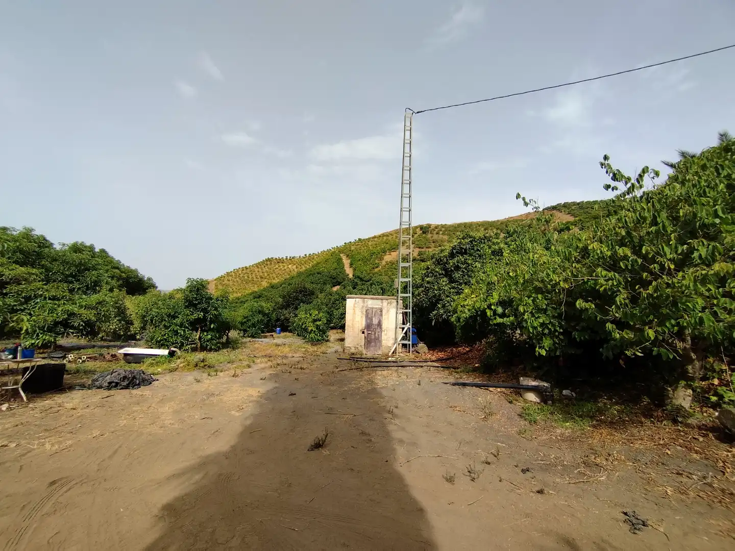 Terreno rustico in vendita a Diseminado Real Alto, imagen 2