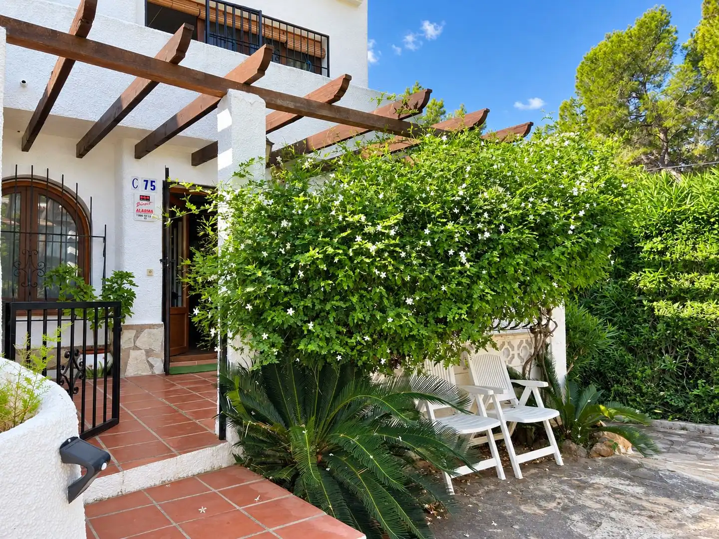 Apartments for rent in Jesús Pobre