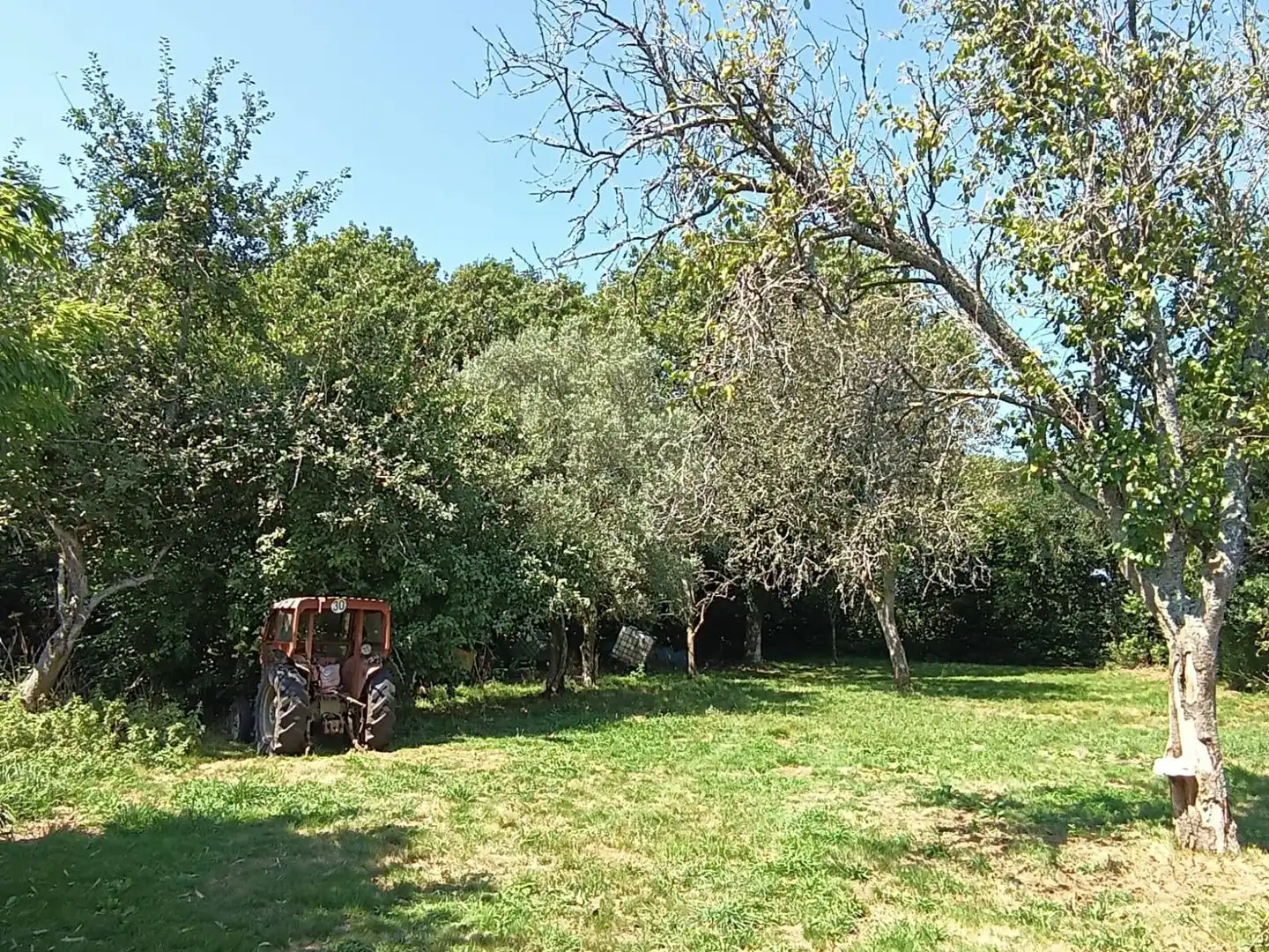Country homes for sale in Aranga