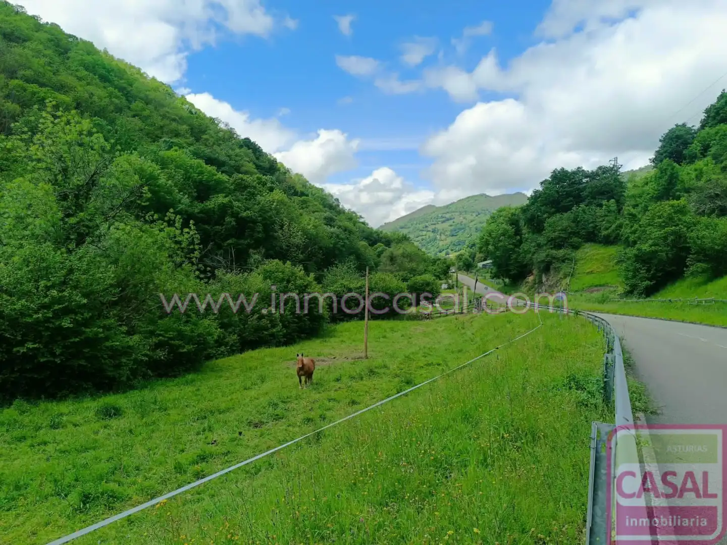 Lands and plots for sale in Aller, imagen 17