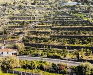 Vista exterior de Finca rústica en venda en La Orotava amb Terrassa