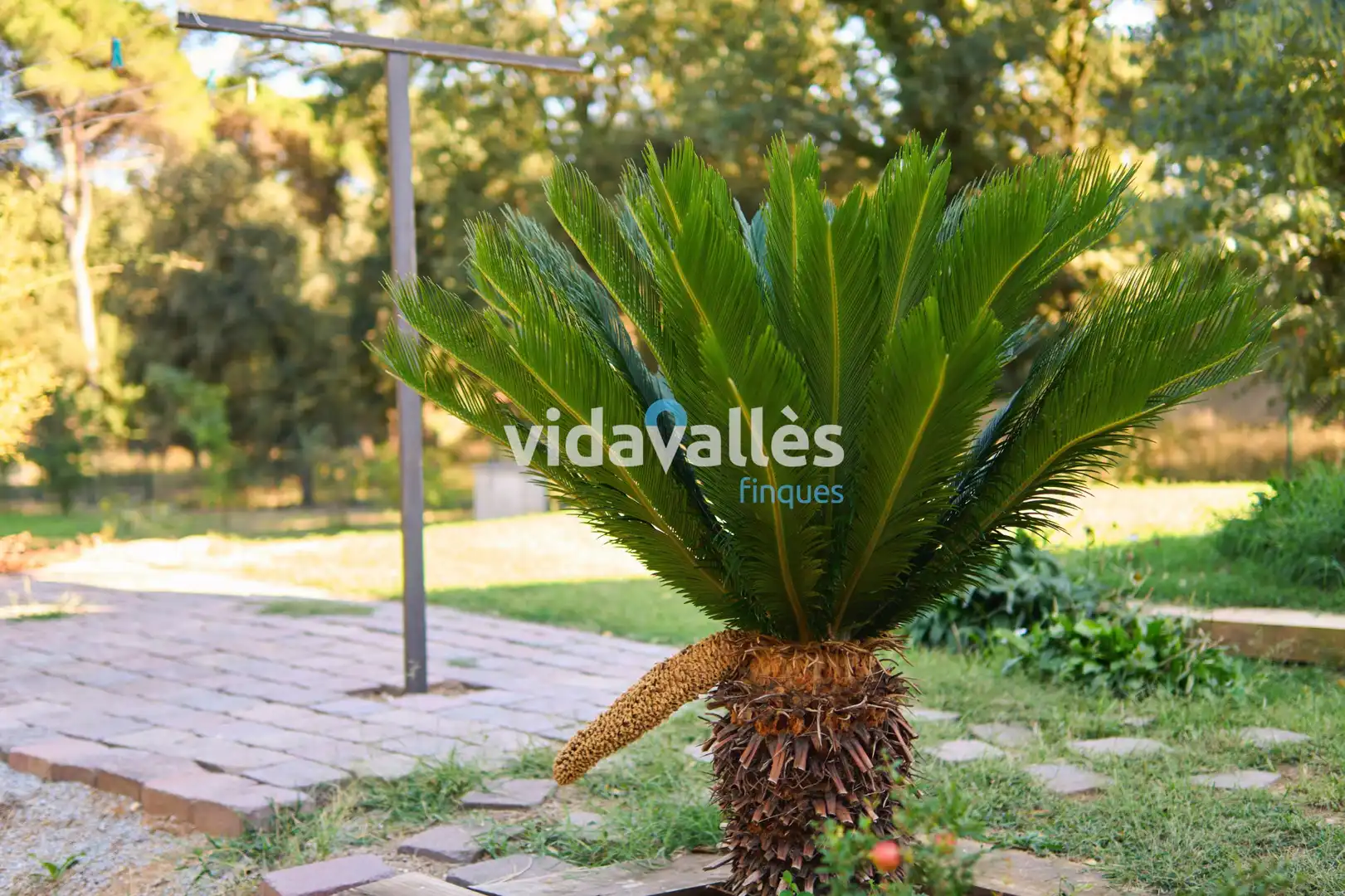 Casa amb terrassa en venda a Barri el Pla, imagen 49