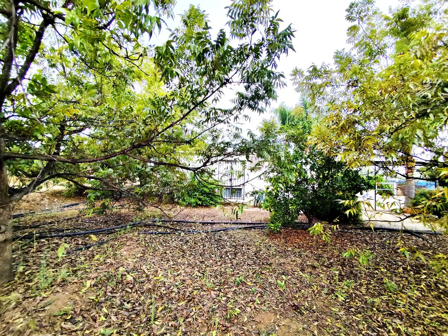 Maison rustique avec jardin à vendre à Coín, imagen 17