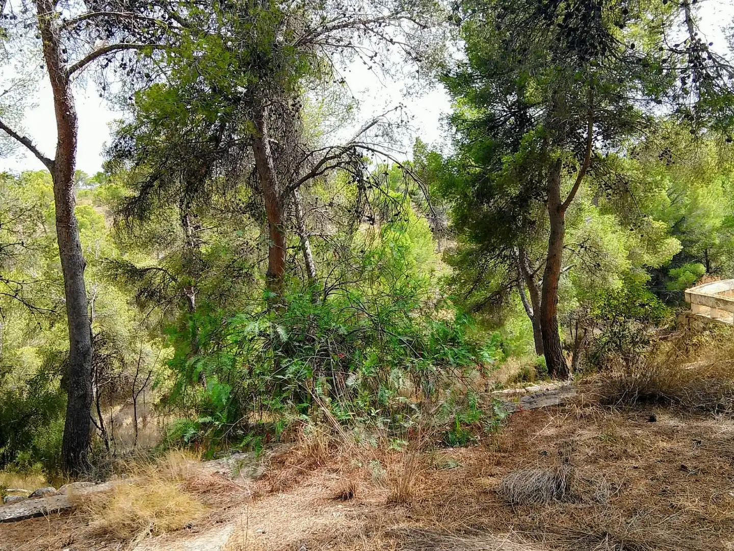 Finca rústica en venta en Tibi con Jardín privado y Terraza