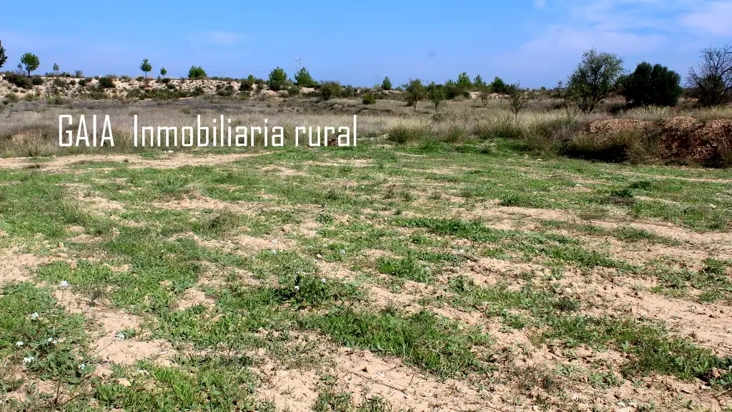 Finca rústica en venda en Batea