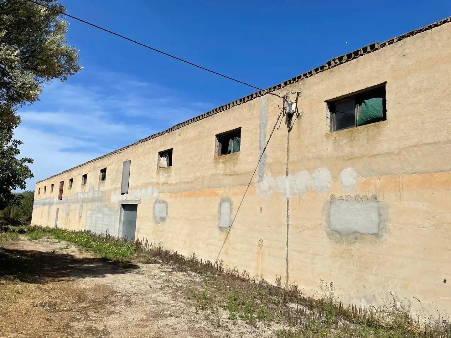 Vista exterior de Finca rústica en venta en Ariany con Jardín privado