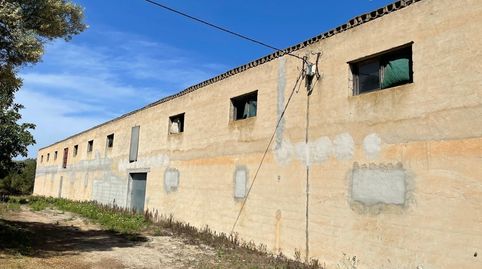 Foto 3 de Finca rústica en venda a Ariany, Illes Balears