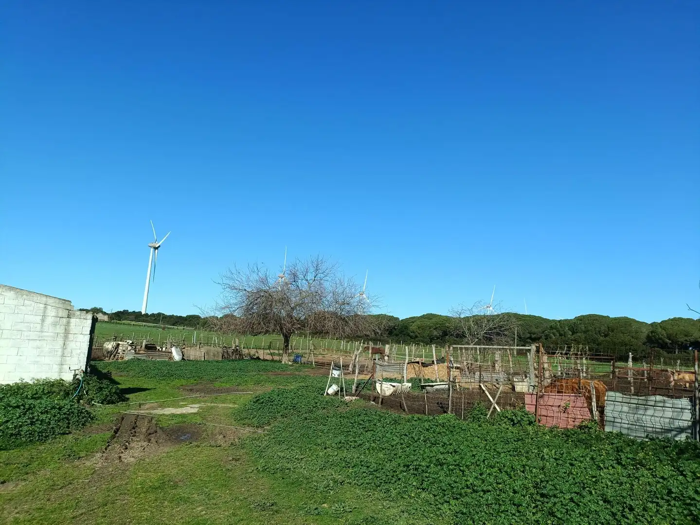 Casa rústica en venda a Villanueva Golf, imagen 22