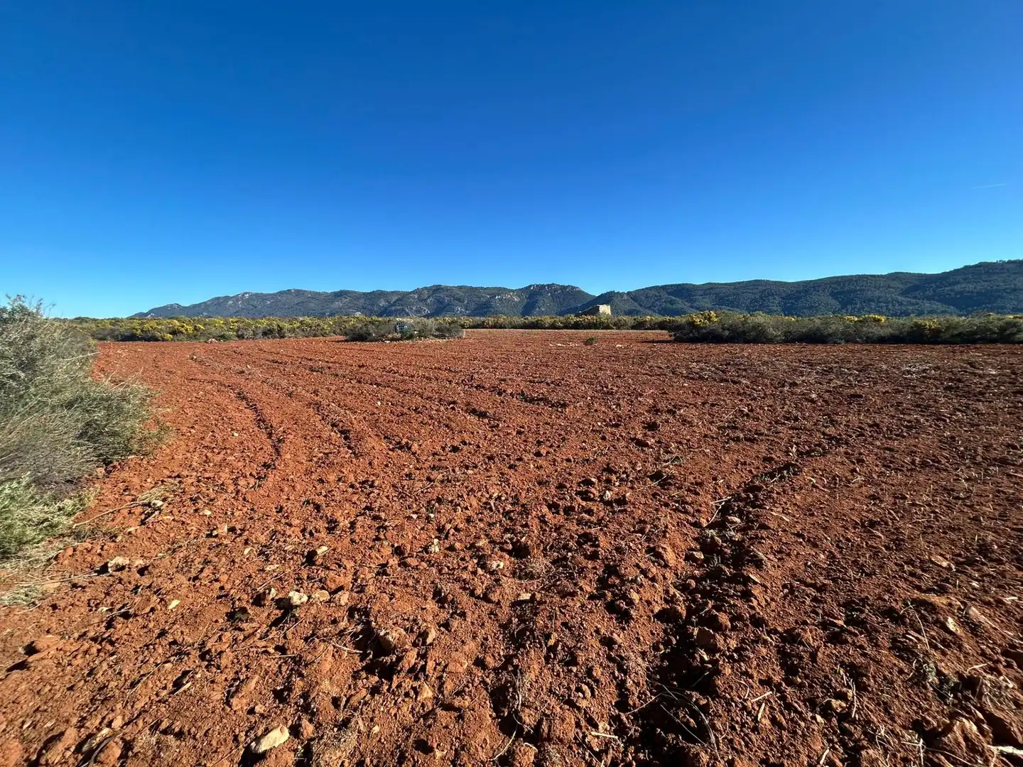 Finca rústica en venta en partida Pla de la Viña, Alfafara